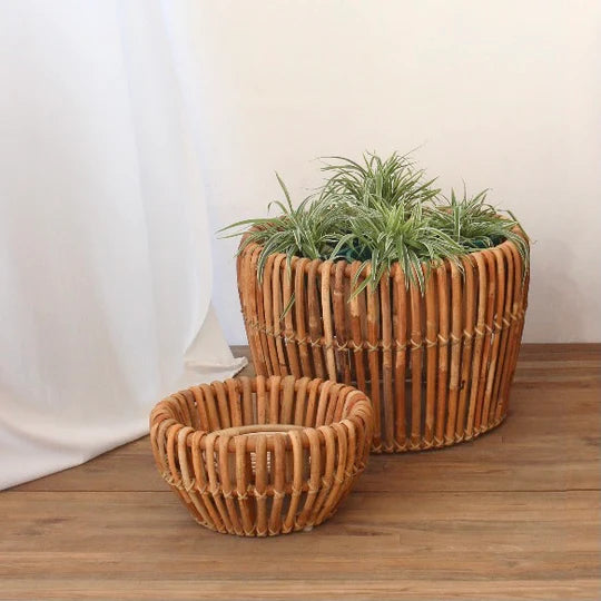 Koso Natural Plant Stand