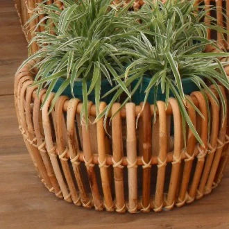 Koso Natural Plant Stand