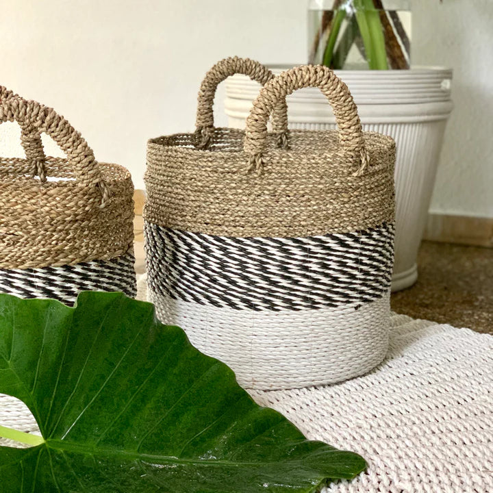 Allonisos Baskets